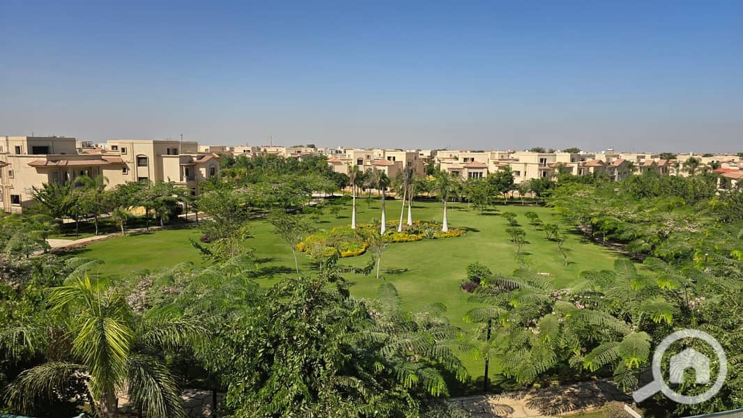 8 107f379f-8cc3-4a48-a000-2c45c0622a9b. jpeg