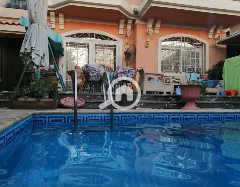 2 1913d842-b48a-4264-9819-39d1ed053c59. jpg