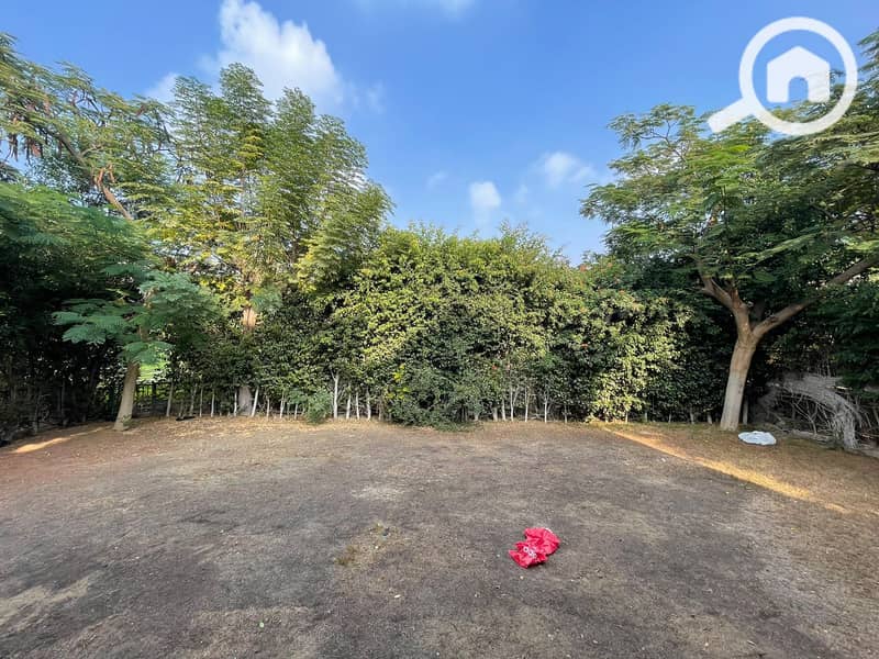 3 5b388bf0-9274-4f4d-b9fb-23e75736616a. jpeg