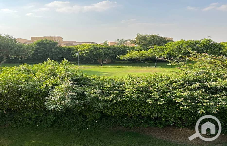 17 a01d841b-89f3-49c3-b059-feadf5eaf41e. jpeg