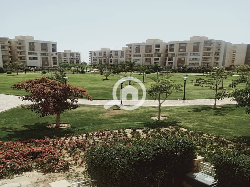 3 16f08a63-c28b-41cd-9086-1698f8ee833f. jpg