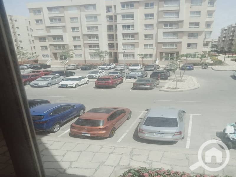 17 55c9a1f3-f7ab-4b84-92cf-6a5becca8e96. jpg