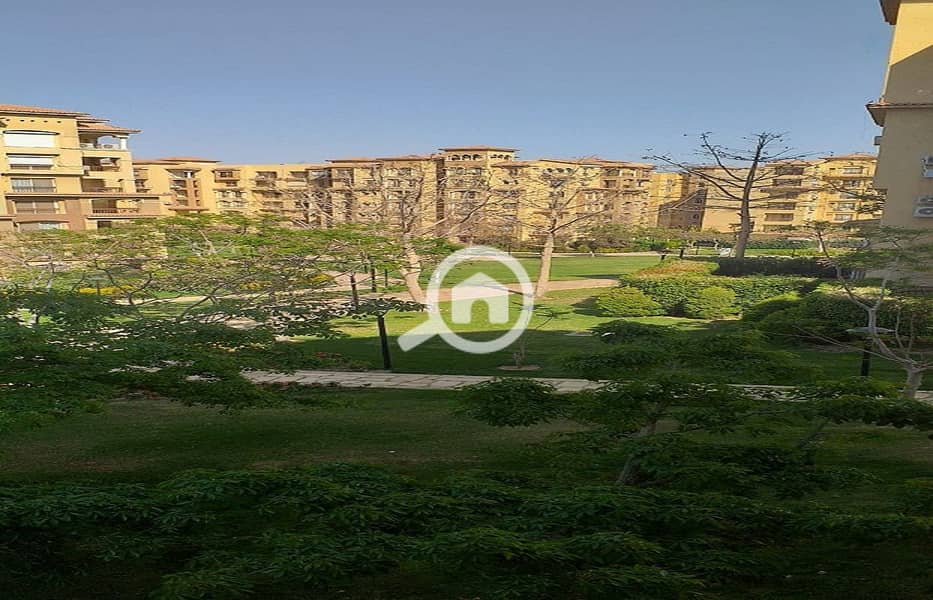 11 d0120fce-dd00-4090-ba85-09c7cdf1489b. jpg