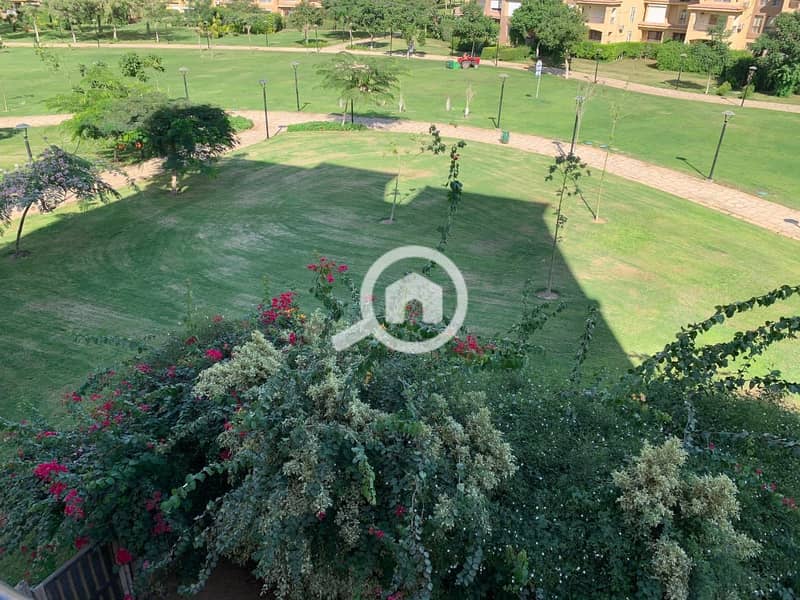 28 8ece6774-4f88-49ff-9055-095a558f2c4a. jpeg