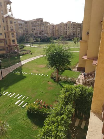 3 Bedroom Apartment for Sale in Madinaty, Cairo - 6b0ce598-2054-4514-9a87-d2ca08a81dd8. jpg