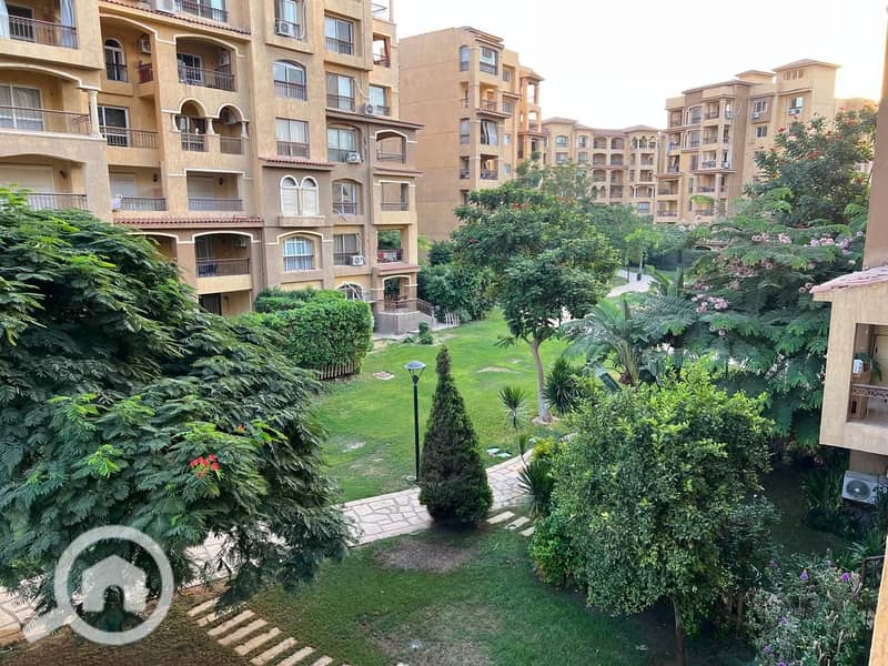 2 df88b0eb-6319-4fe3-94db-c6a4277071f3. jpg