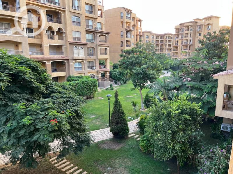 3 df88b0eb-6319-4fe3-94db-c6a4277071f3. jpg