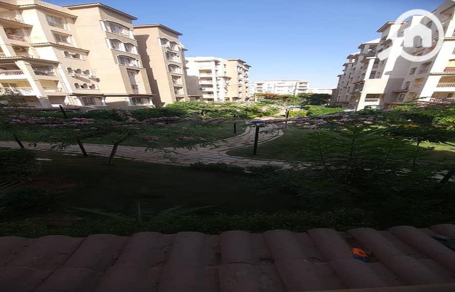 2 2f56be51-e4e6-436b-984b-9903d6af1f23. jpg