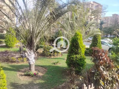 3 Bedroom Flat for Rent in Madinaty, Cairo - 6e39694b-5808-4546-8c19-4bf255dc9d54. jpg