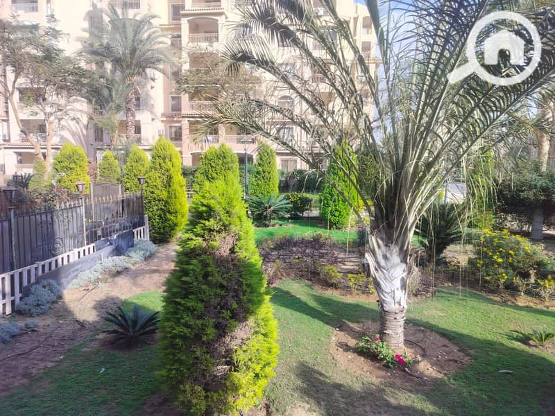 2 ced632fe-ca55-41b5-a38b-28b2f7f92bad. jpg