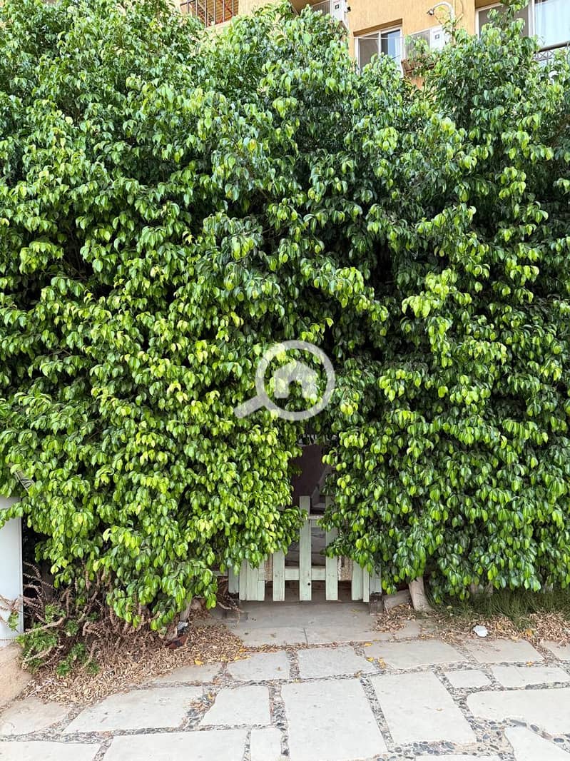 9 fd67484a-32a8-409a-9ff6-debc67c319b9. jpg