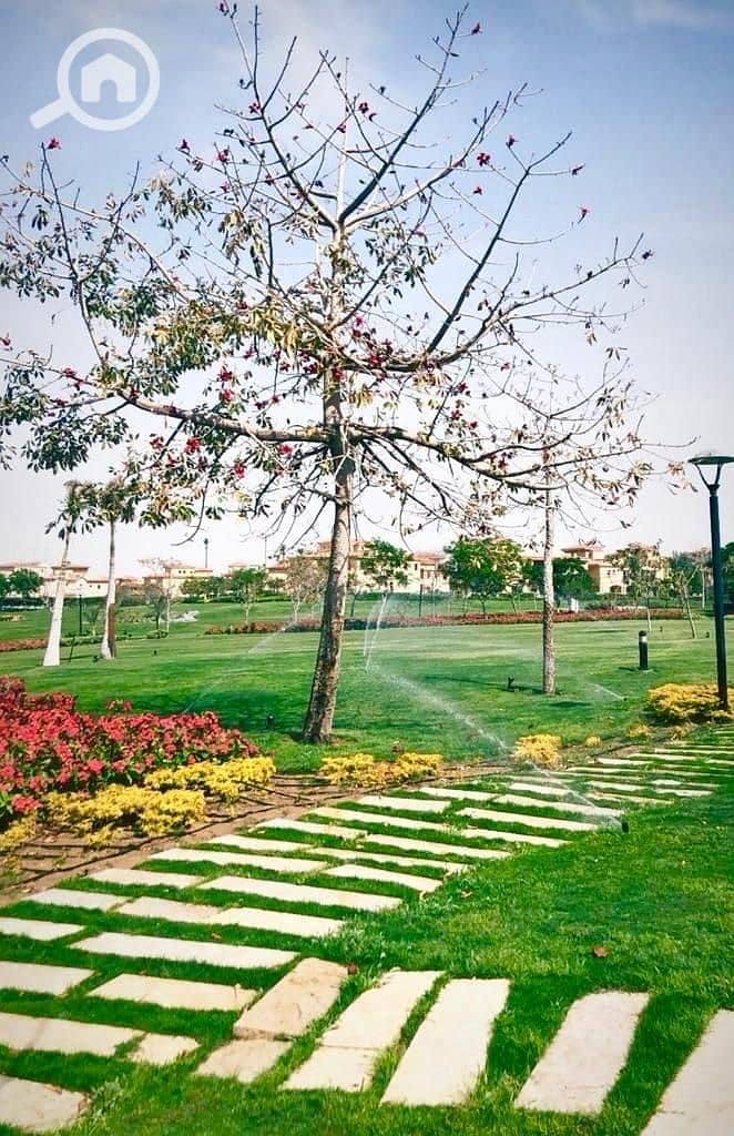 13 IMG-20251127-WA0115. jpg