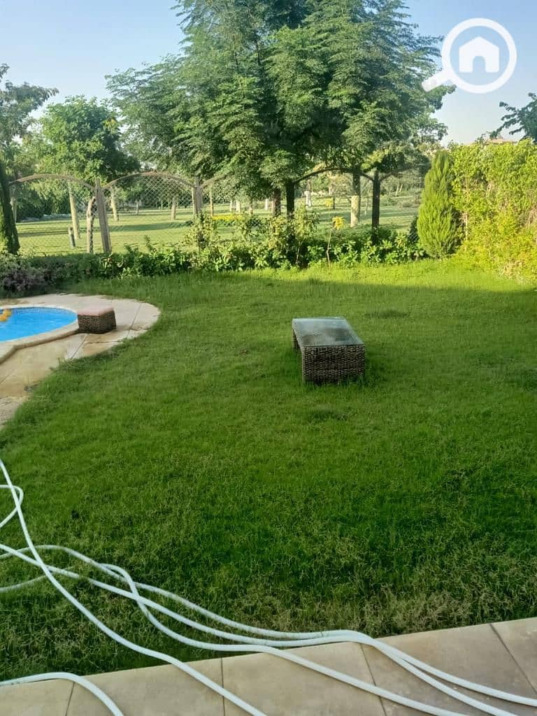 11 c43925e7-d04c-4767-b3be-e3d1263f1c90. jpg