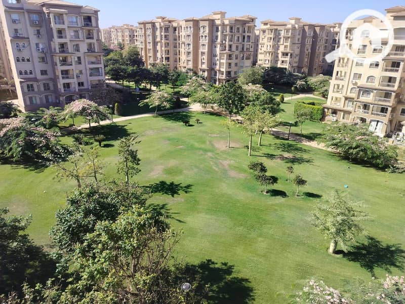 2 0ba3cbe4-60a8-4665-b818-88949a6cf5d5. jpg