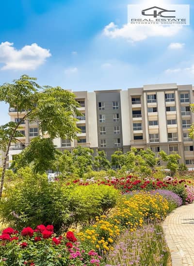 3 Bedroom Apartment for Sale in New Cairo, Cairo - WhatsApp Image 2025-11-12 at 13.52. 34. jpg