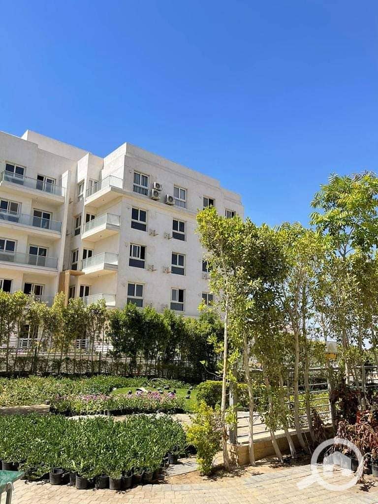 3 FB_IMG_1691824636660. jpg