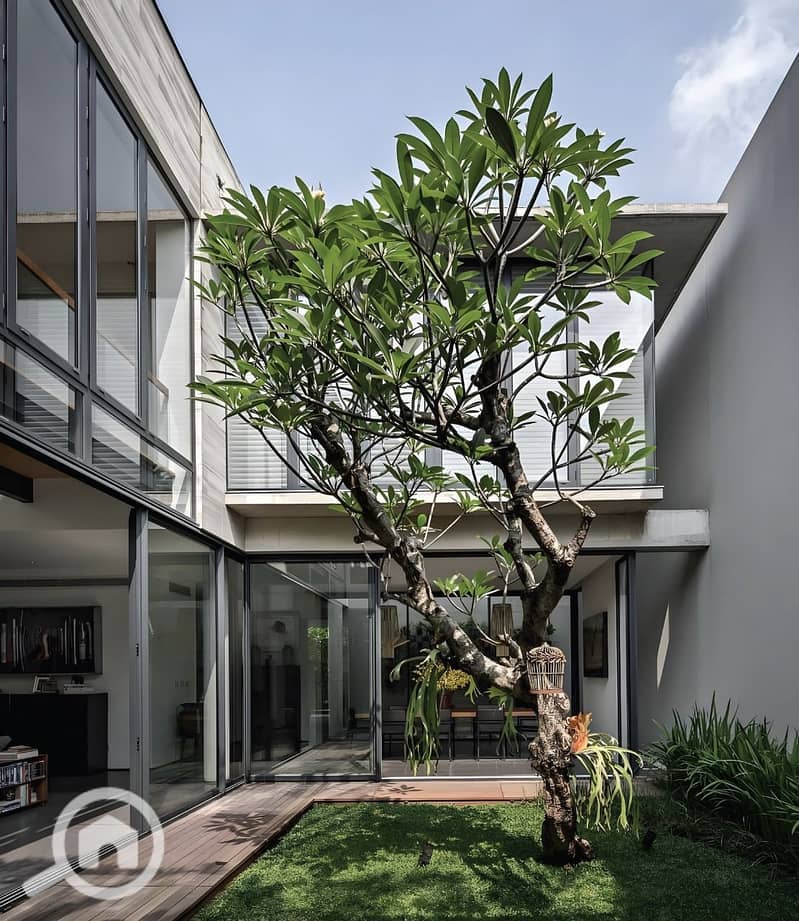 6 WhatsApp Image 2025-03-03 at 14.01. 55_d1afef30. jpg