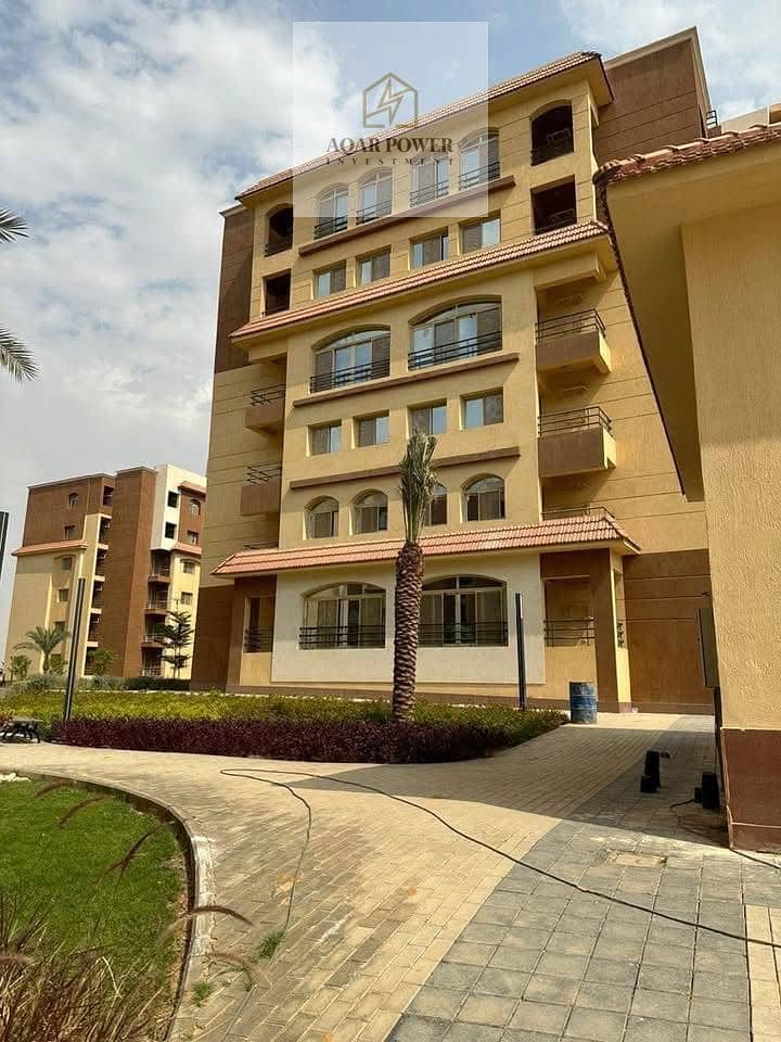 5 2d0585ea-faa2-4b94-a523-ecfbc64d864c. jpeg