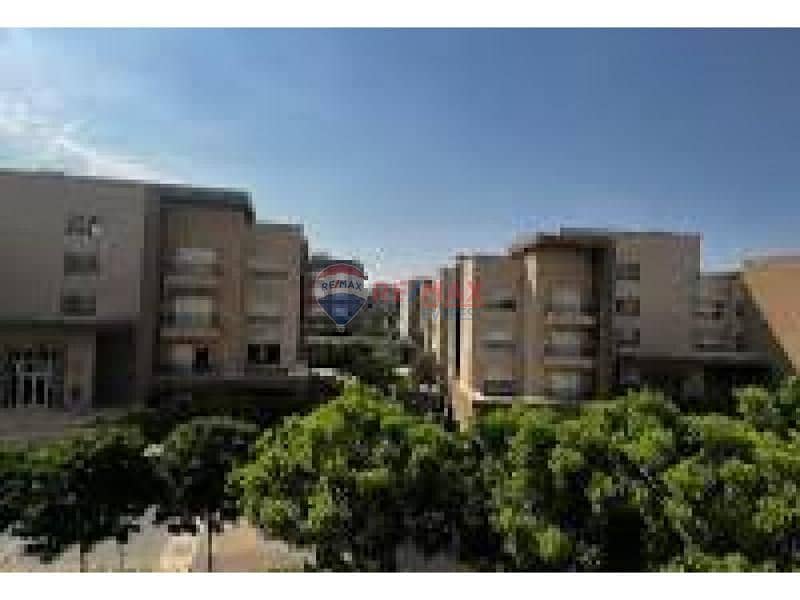 3 85ae649f-8e55-4159-a34b-074a7e70dc44_original (3). jpg