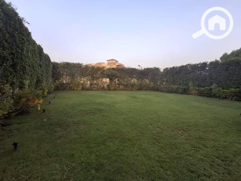 3 2ad5880c-4514-49bd-979b-185b481d621f. jpg