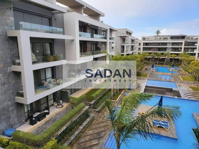 4 598887921_9764011293722427_5691988968482490159_n. jpg