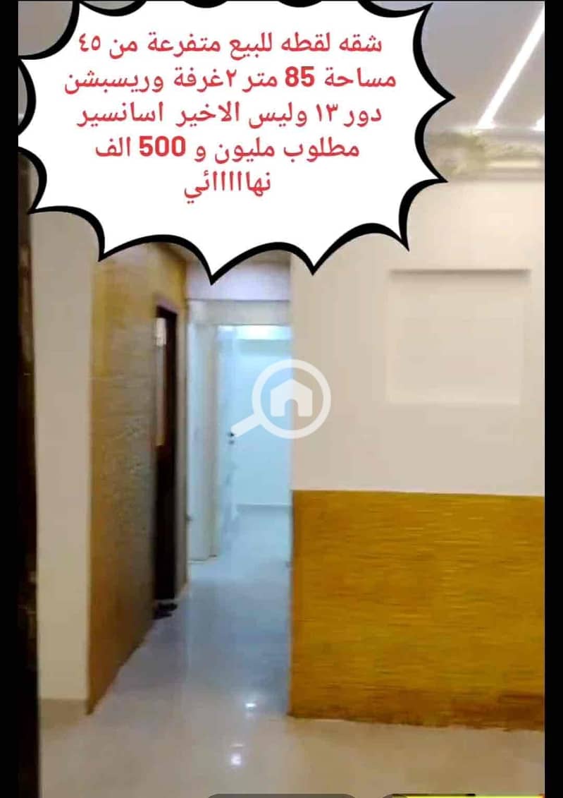 2 40f177d8-ebd5-412f-bdce-7dca4c734c32. jpg