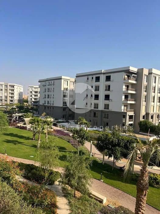 4 595370920_857893877133175_9049386725967591091_n. jpg