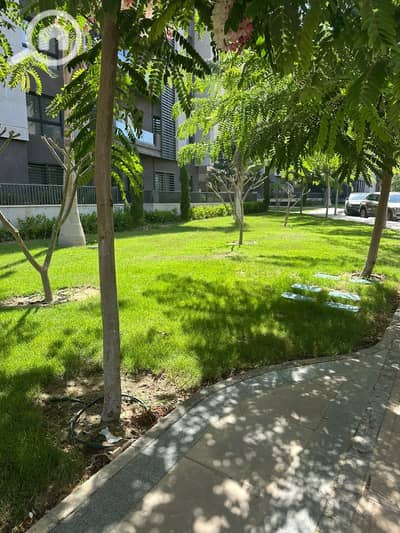 3 Bedroom Apartment for Rent in Madinaty, Cairo - IMG-20251218-WA0325. jpg 3 Bedroom Apartment for Rent in Madinaty, Cairo - IMG-20251218-WA0325. jpg