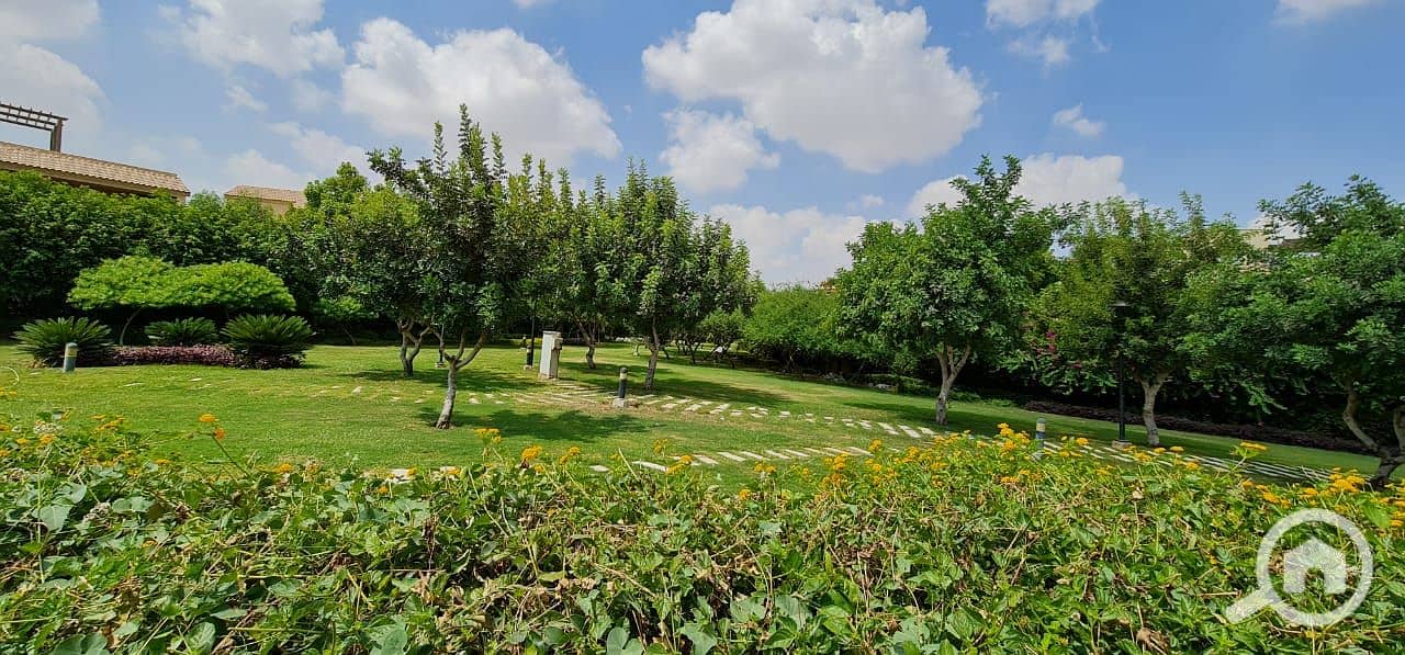 10 صورة واتساب بتاريخ 2025-12-17 في 11.35. 22_9e40e4af. jpg