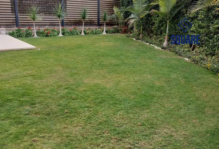 6 7364767-3bdb9o. jpg