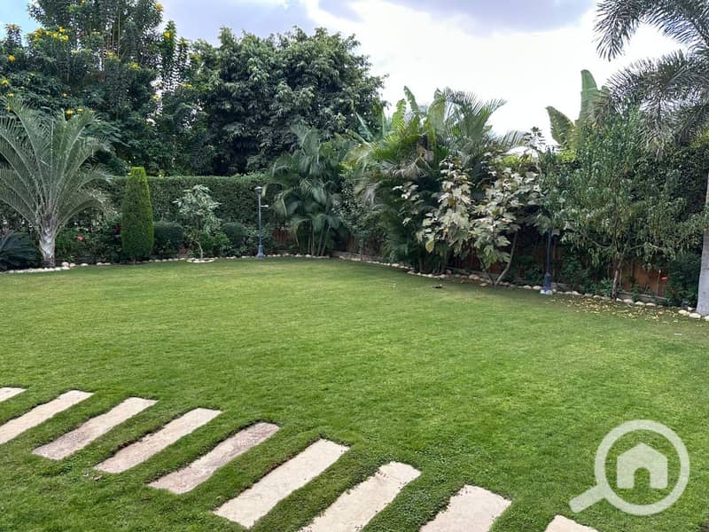 5 107dba04-575e-4647-ba2c-e919d2284b54. jpg