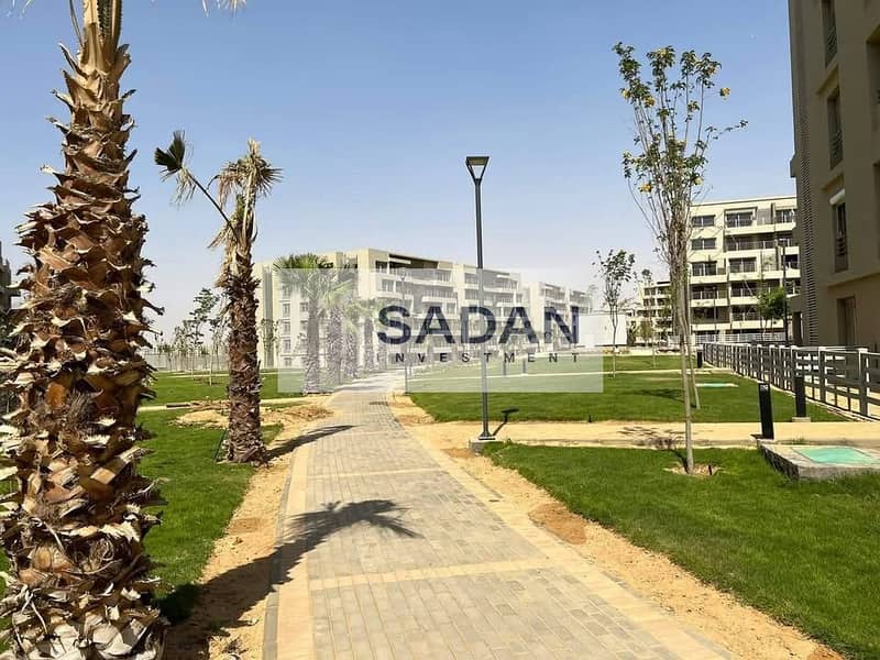 8 594057658_4041173742814868_1145134994590827142_n. jpg