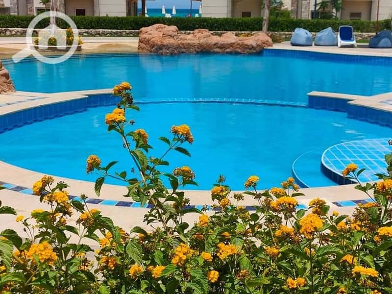 7 WhatsApp Image 2025-08-04 at 6.17. 45 PM (6). jpeg