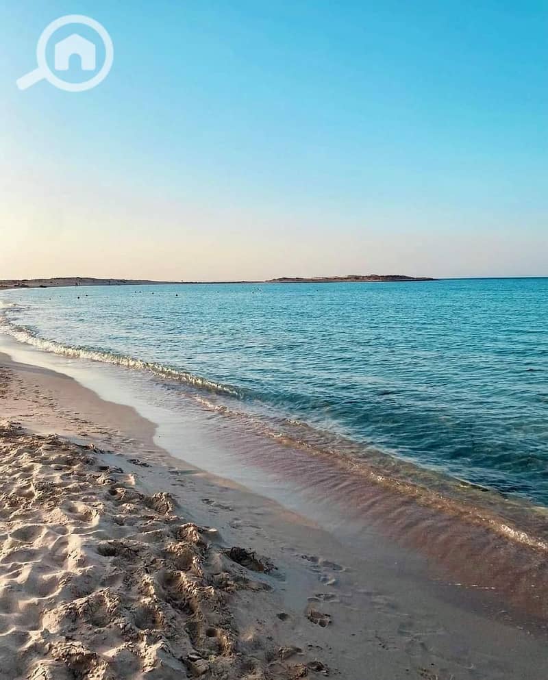 11 WhatsApp Image 2025-08-04 at 6.17. 45 PM (1). jpeg