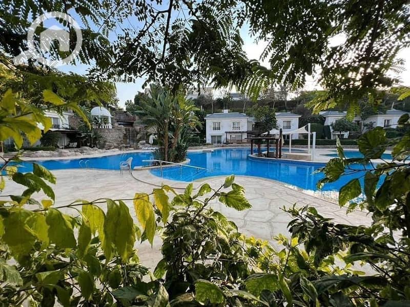 2 564163169_2224128884749626_3357255703183121747_n (1). jpg