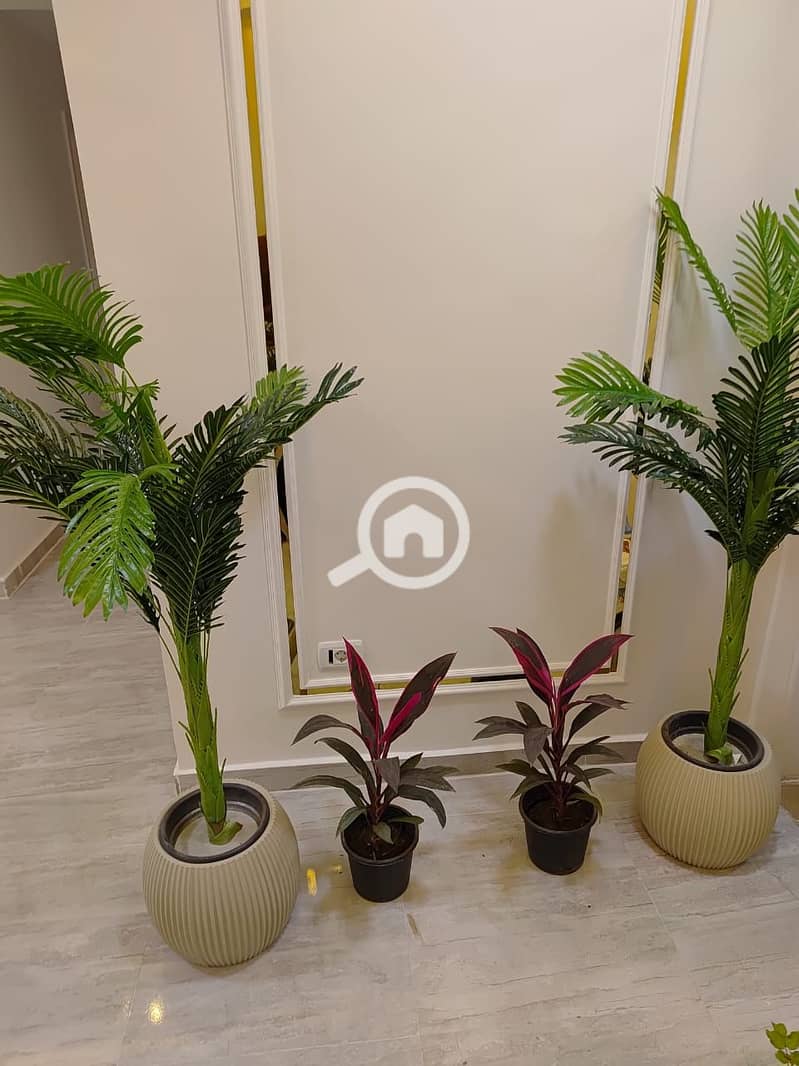 7 WhatsApp Image 2025-12-04 at 2.53. 24 PM (2). jpeg