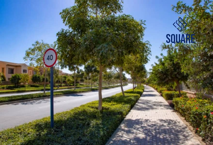 15 8398271-bf2f3o. jpg