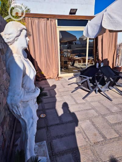 2 Bedroom Flat for Rent in New Cairo, Cairo - IMG-20251218-WA0030. jpg