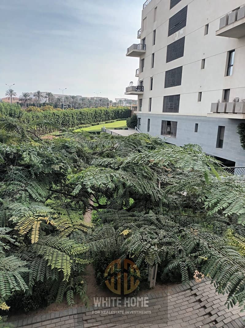 9 67de865f-d264-469e-810f-de1f6eaac6f1. jpeg