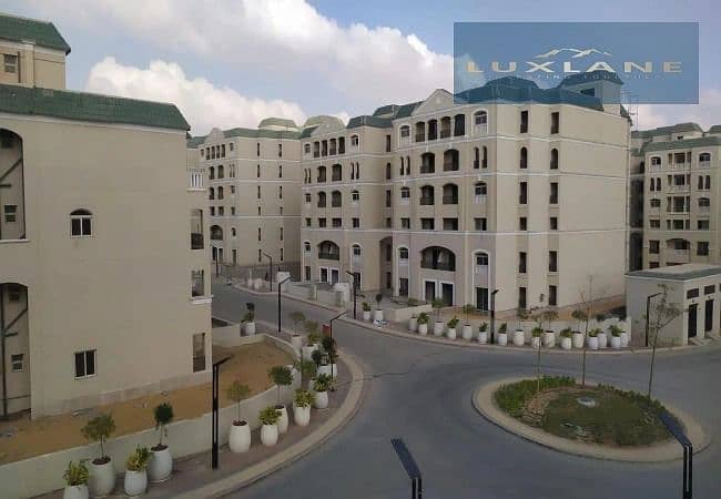 8 ed377dcf-3169-4730-82ba-eeba41b92c52. jpeg