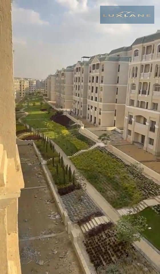 9 706dc893-aa91-45ef-8664-67aedb543f46. jpeg