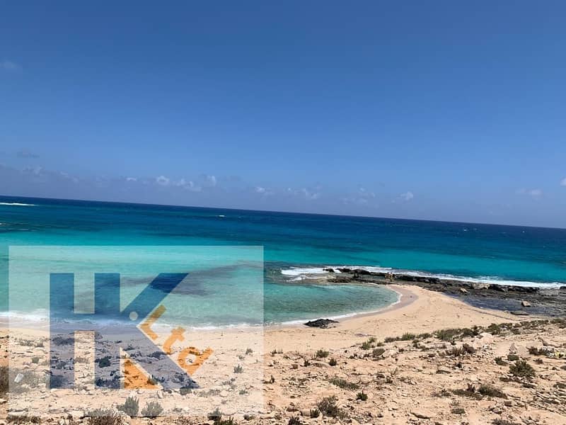 WhatsApp Image 2025-12-18 at 5.15. 56 PM. jpeg WhatsApp Image 2025-12-18 at 5.15. 56 PM. jpeg