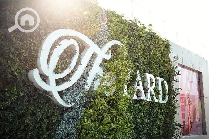 3 IMG-20251218-WA0261. jpg