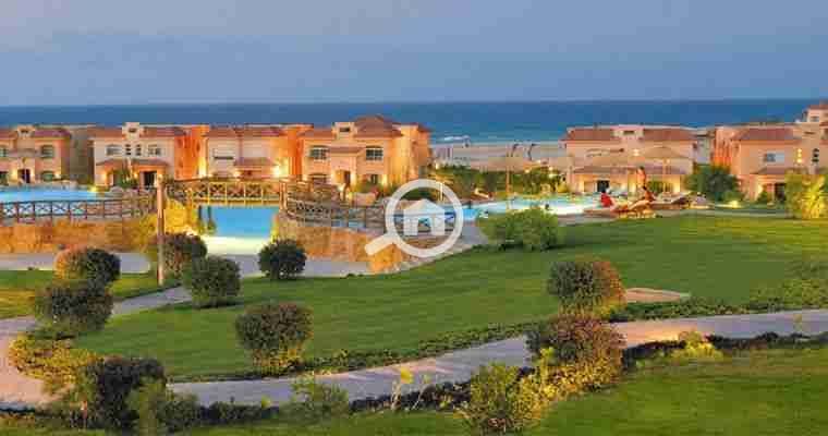 3 UXM1ZaqRgLQOMpUG. jpg