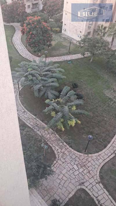 2 Bedroom Apartment for Rent in Madinaty, Cairo - 0676142b-db17-4e03-bf24-955b84d131cc. jpg