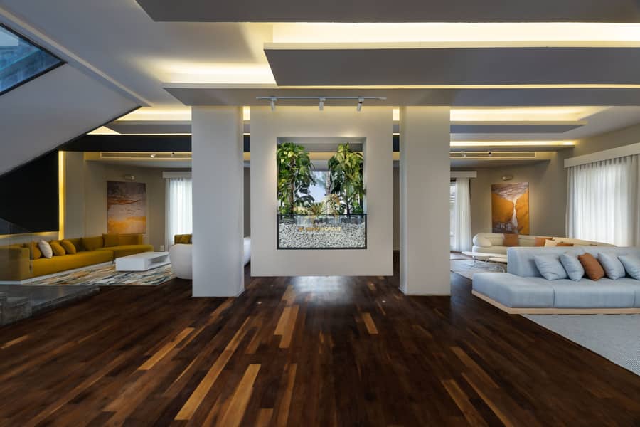 23 IMG_5862-Edit-2-Edit. jpg