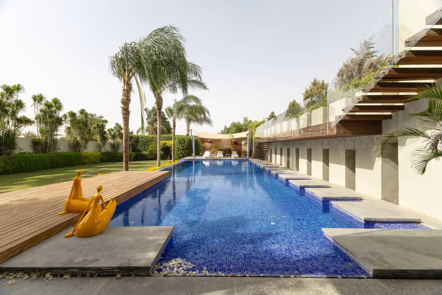 31 IMG_5966-Edit-Edit. jpg