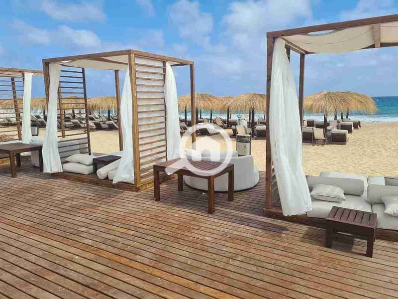 5 FB_IMG_1730418901049. jpg