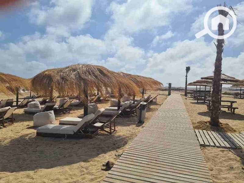 6 FB_IMG_1730418908899. jpg