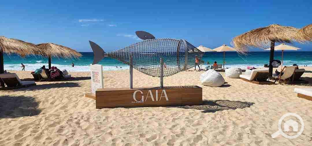 9 FB_IMG_1730418917386. jpg